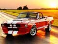 Spēle Piekļaujošā Mustang Atšķirības online