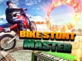 Spēle Velosipēdu Triku Meistars online