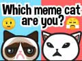 Spēle Kāds esi meme kaķis? online