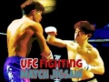 Spēle UFC Cīņš Puķe online