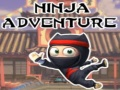 Spēle Ninja Piedzīvojums online
