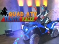 Spēle Kvadraciklu ATV Satiksmes Sacīkstes online