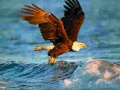 Spēle Dzīvnieku Uzlikt Puzzle: Ērglis online
