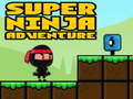 Spēle Super Piedzīvojums Ninja online