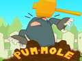 Spēle Pum-Mole online
