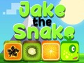 Spēle Jake Čūska online