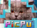 Spēle PicPu Kaķis online