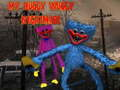 Spēle Mans Huggy Wuggy Murgs online