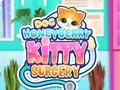 Spēle Doktors HoneyBerry Kaķu Ķirurģija online