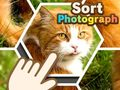 Spēle Kārtot fotogrāfijas online