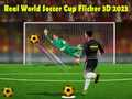 Spēle Reālā Pasaules Futbola Kauss Flicker 3D 2023 online