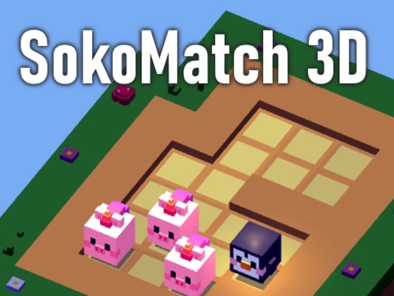 Spēle Sokomatch 3d online