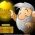 zeltracis  online