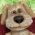 Suns Suns online